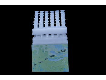 DOWNSTEM DISPLAY SET-3'-5.5'/6 SIZES X6 PCS