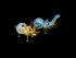 TUSTING ART ASSORTED COLOR HEAVY ELEPHANT PIPE