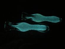 3.5" GLOW IN THE DARK CHILLUM