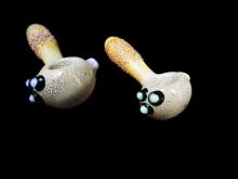 4'/ FLOWER ATTACHED SANDY GLASS HAND PIPE