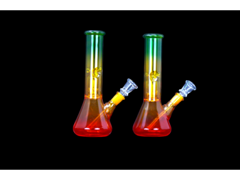 8'/150 Gr RASTABONG WITH PERCULATOR